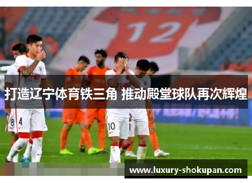 打造辽宁体育铁三角 推动殿堂球队再次辉煌